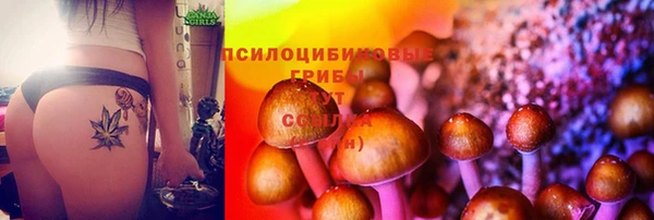 марихуана Новодвинск