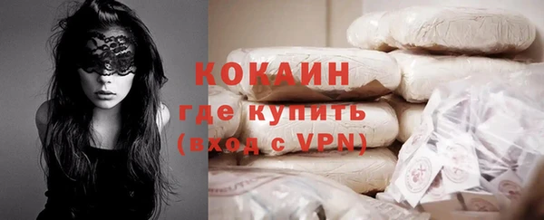a pvp Новозыбков