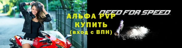 a pvp Новозыбков