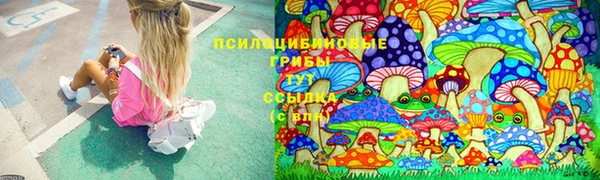 марихуана Новодвинск