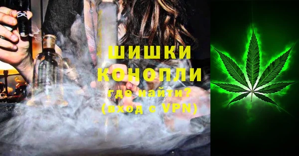a pvp Новозыбков