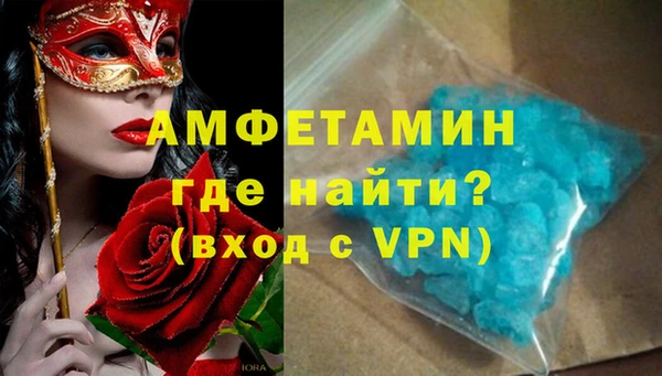 a pvp Новозыбков
