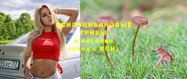a pvp Новозыбков