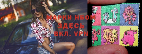 a pvp Новозыбков