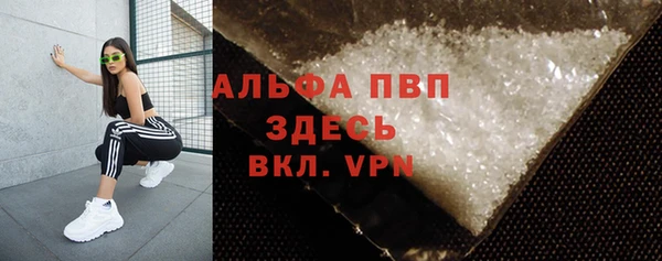 a pvp Новозыбков