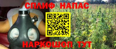ALPHA-PVP Камышлов