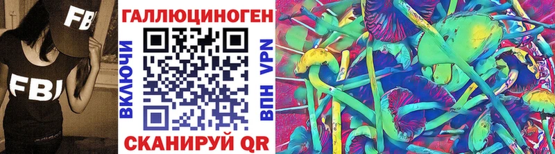 Псилоцибиновые грибы Cubensis  Славгород 