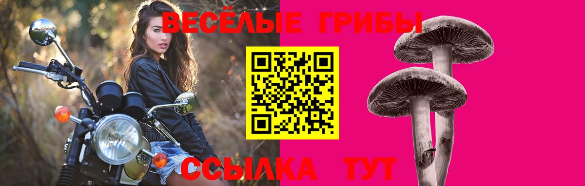Галлюциногенные грибы ЛСД  Вход с VPN  купить наркоту  Славгород 